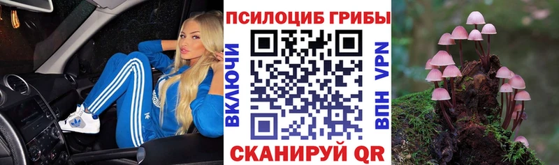 Галлюциногенные грибы Psilocybe  Будённовск 